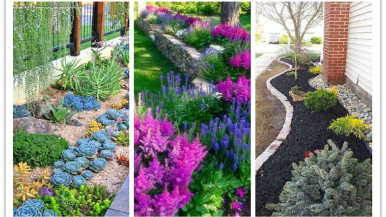 low maintenance front yard ideas